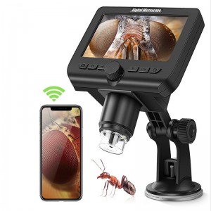 Grossissement sans fil du microscope numérique 1000X avec écran de 4,3 pouces 8 lumières LED pour iPhone Android Windows Enfants Kits étudiants et adultes
